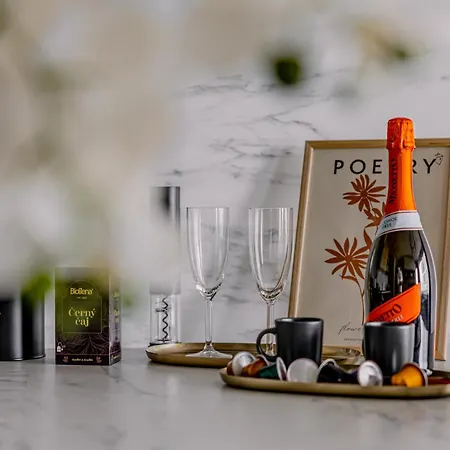 Skypark With Free Parking 布拉迪斯拉发